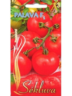 Pomidorai valgomieji 'Palava' H