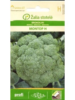 Brokoliai 'Montop' H