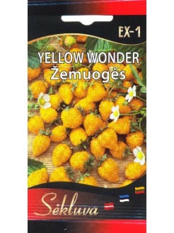 Žemuogės 'Yellow Wonder' 0