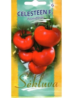 Pomidorai valgomieji 'Celesteen' H