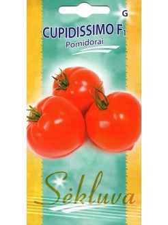 Pomidorai valgomieji 'Cupidissimo' H
