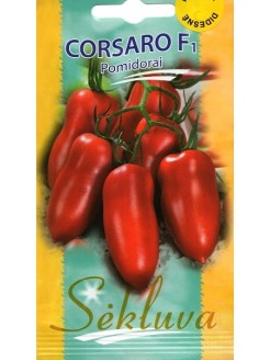 Pomidorai valgomieji 'Corsaro' H