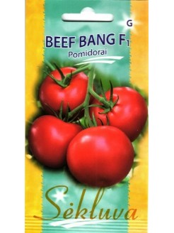 Pomidorai valgomieji 'Beef Bang' H