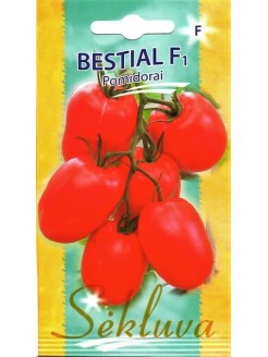 Pomidorai valgomieji 'Bestial' H