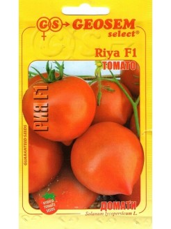 Pomidorai valgomieji 'Riya' F1