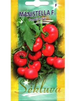 Pomidorai valgomieji 'Manistella' H