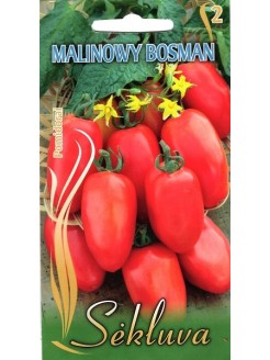 Pomidorai valgomieji 'Malonowy Bosman' 0