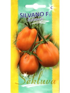 Pomidorai valgomieji 'Silvano' H