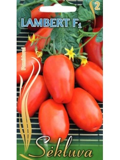 Pomidorai valgomieji 'Lambert' H