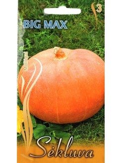Moliūgai didieji 'Big Max'