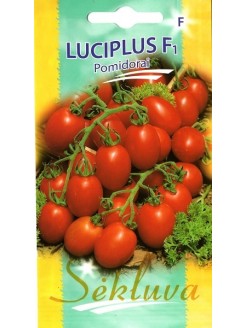 Pomidorai valgomieji 'Luciplus' H