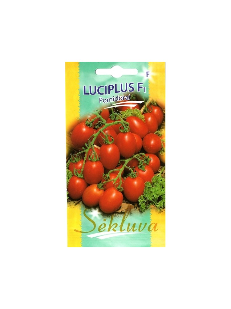 Pomidorai valgomieji 'Luciplus' H