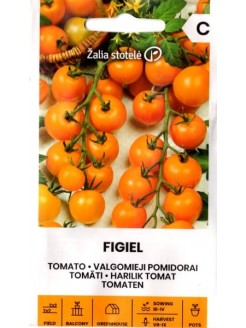 Pomidorai valgomieji 'Figiel' 0