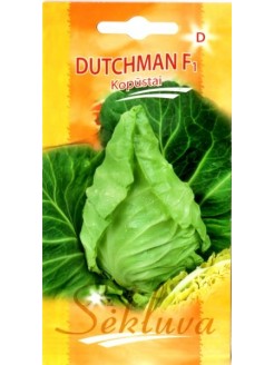 Kopūstai baltagūžiai 'Dutchman' H
