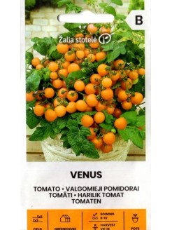 Pomidorai valgomieji 'Venus' 0