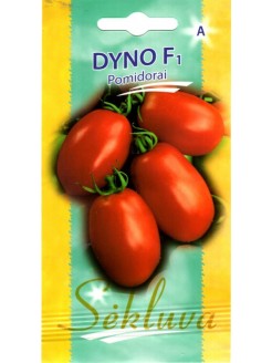 Pomidorai valgomieji 'Dyno' H