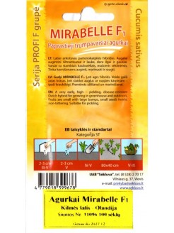 Agurkai paprastieji 'Mirabelle' H