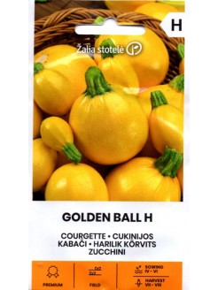 Cukinija 'Gold Ball' H, 1 g