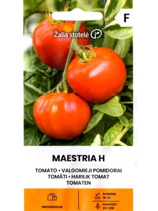 Pomidorai 'Maestria' H, 10 sėklų