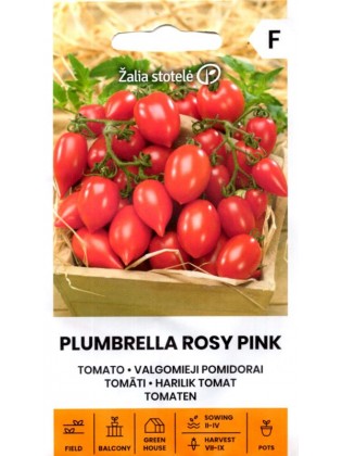 Pomidorai 'Plumbrella Rosy Pink' 5 sėklos