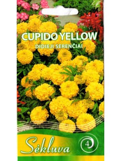 Serenčiai didieji 'Cupido Yellow' 0,3 g