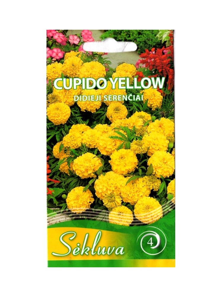 Serenčiai didieji 'Cupido Yellow' 0,3 g