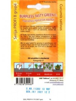 Agurkai paprastieji 'Burpless Tasty Green' H