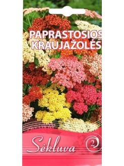 Kraujažolės paprastosios 0