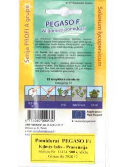 Pomidorai 'Pegaso' H