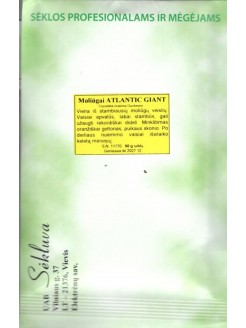 Moliūgai didieji 'Atlantic Giant' 50 g