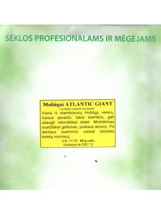 Moliūgai didieji 'Atlantic Giant' 50 g