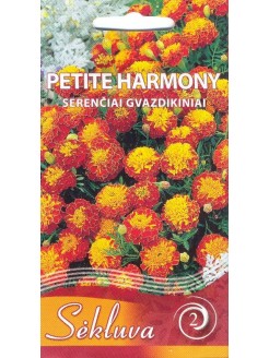 Serenčiai gvazdikiniai 'Petite Harmony' 0